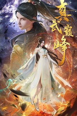 湛江市网站seo优化代理商